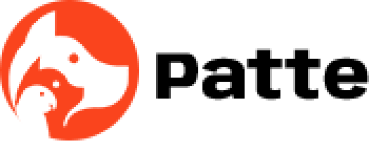 Patte